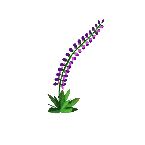 Orchid Violet